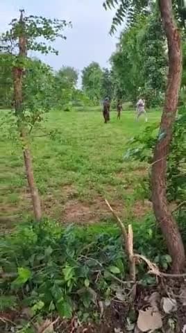 वन भूमि से अवैध कब्जा हटाने गए वनविभाग की टीम के साथ मारपीट पलेरा थाने के दांत गौरा ग्राम का है मामला