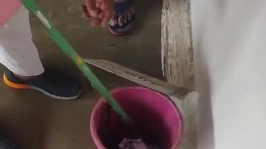 जबलपुर: मेडिकल कॉलेज के एनाटॉमी विभाग में निकले धामन सांप और देवताल स्थित पान दुकान में घुसे गुहेरा को किया गया रेस्क्यू