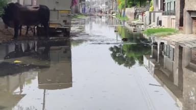 ਸੁਨਾਮ: ਦਿੜਬਾ ਵਿਖੇ ਸੀਵਰੇਜ ਦੀ ਸਮੱਸਿਆ ਕਾਰਨ ਲੋਕ ਪਰੇਸ਼ਾਨ , ਸਰਕਾਰ ਖਿਲਾਫ ਕੀਤੀ ਨਾਅਰੇਬਾਜ਼ੀ