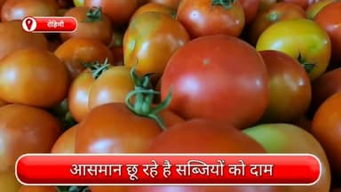 सरस्वती विहार: आसमान छू रहे है सब्जियों के भाव, रोहिणी सेक्टर 3 की सब्जी मंडी में 100 से 120 रुपये किलो बिक रहा है टमाटर