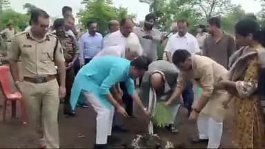 जबलपुर: गधेरी में एक पेड़ मां के नाम अभियान की हुई शुरुआत, सांसद, महापौर, विधायक और नगर निगम अध्यक्ष ने लगाये पौधे