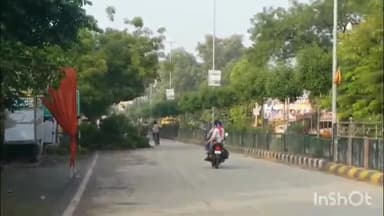 चित्तौड़गढ़: प्रताप नगर चौराहे पर अचानक नीम के एक पेड़ की शाखा टूटकर उदयपुर मार्ग पर गिरी, गनीमत रही कि मौके पर कोई नहीं था अन्यथा..