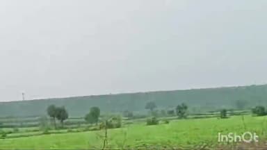 सिरोंज: ललितपुर में चौकीदारी का झांसा देकर वन विभाग ने वनभूमी पर बनाई नर्सरी, पीड़ित ने लगाए आरोप