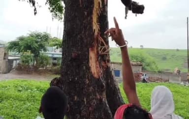 शाहबाद: अमरोद गांव के समीप आकाशीय बिजली गिरी पेड़ पर, दो आए चपेट में