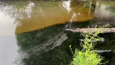 જોટાણા: જોટાણાના સુરજ ગામે ONGC ની લાઈન લીકેજ થતાં હજારો લીટર ઓઈલ ગામ તળાવમાં ભળતાં ગામલોકોમાં આક્રોશ