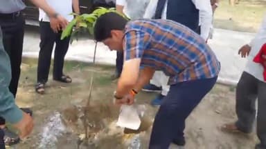 रामपुर: ग्राम पंचायत मानकर विकासखंड बिलासपुर क्षेत्र में अमृत सरोवर वन में DM और CDO द्वारा वृक्षारोपण किया