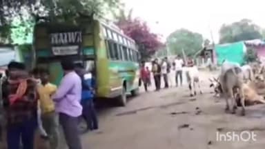 सिरोंज: ग्राम पंचायत कोरवासा में बस की टक्कर से आवारा गाय की हुई मौत, पुलिस ने किया प्रकरण दर्ज