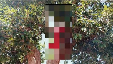 माडा: साजापानी गांव में एक 15 वर्षीय किशोरी का घर से दूर जामुन के पेड़ में फांसी पर लटकता मिला सब जांच में जुटी पुलिस