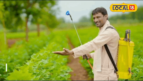 तिवुनी के निवासी अरविंद अपनी पीएम किसान सम्मान निधि से मिलने वाली राशि अपने खेतों में लगा के उससे 10 गुना ज़्यादा आय कमा रहे है #shivankdwivedireporting