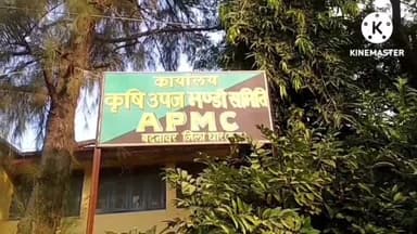 बदनावर: बदनावर कृषि उपज मंडी में उपज लेकर पहुंचे, क्षेत्र के किसान,सोयाबीन, गेहूं की उपज की हुई आवक।