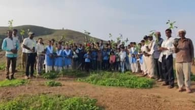 पन्ना: सलेहा दक्षिण वन मंडल में छात्र-छात्राओं ने किया पौधरोपण, पन्ना कलेक्टर ने साझा की तस्वीरें