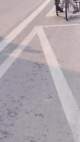 मैं अरविंद केजरीवाल से अपील कर रहा हूं कि दिल्ली के अंदर विकलांगों को महिलाओं को बैटरी वाली साइकिल दी जाए