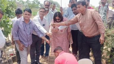 चूरू: जिला कलेक्टर पुष्पा सत्यानी ने आपणी योजना स्थित प्रस्तावित कलेक्टर कार्यालय में किया पौधारोपण