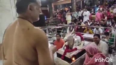 उज्जैन शहर: श्रीगंगानगर लोकसभा सीट से सांसद कुलदीप इंदौरा ने किए बाबा महाकाल के दर्शन, छत्र किया दान