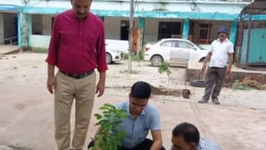 पन्ना: जिला पंचायत सीईओ की मौजूदगी में जिला पंचायत कार्यालय के परिसर में में किया पौधरोपण
अब तक रोपे गए 13 हजार से अधिक पौधे