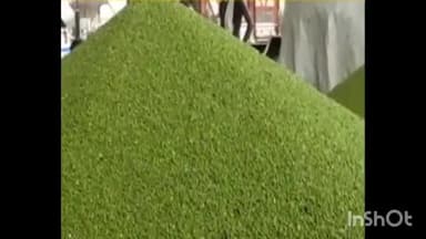 सिरोंज: जिले के 516 किसानों ने 7141 क्विंटल मूंग समर्थन मूल्य पर बेची, स्लॉट बुकिंग की अंतिम तिथि 21 जुलाई