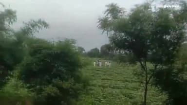 शाजापुर: बांडाहेड़ी में जमीन को लेकर एक ही परिवार के दो पक्षों में हुआ विवाद,  वीडियो आया सामने