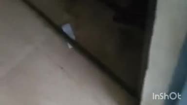 ब्यौहारी: ब्यौहारी में स्थित सरकारी कॉलेज में एग्जाम में खुलेआम चल रही नकल का वीडियो सोशल मीडिया में वायरल