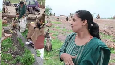 चित्तौड़गढ़ दुर्ग पर कई स्थानों पर एक कुंटल केले  गुरु पूर्णिमा पर आशीर्वाद लिया श्रीनाथ जनकल्याण संस्था अध्यक्ष सुनीता