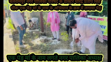 बलरामपुर समाचार आदर्श नगर पालिका परिषद के अध्यक्ष डॉ धीरेंद्र प्रताप सिंह धीरू ने एक पेड़ मां के नाम अभियान के क्रम में तुलसी पार्क सहित नगर के विभिन्न मोहल्ले में किया वृक्षारोपणइस अवसर पर भाजपा के वरिष्ठ नेता देवेंद्र सिंह डीपी गौरव मिश्र