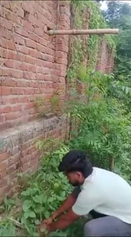 महर्षि विश्वामित्र फाउंडेशन के सदस्य बिट्टू जी द्वारा महोगनी का 50 पौधा अपने जमीन पर लगाया गया। फाउंडेशन के तरफ से उनके इस कार्य के लिए बधाई।