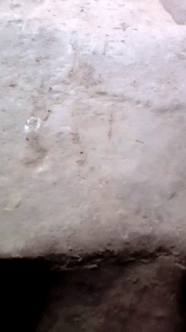 #g@shjvcjhvnkjgb GDS hai g