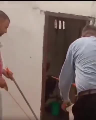 जगाधरी: कृष्णा कॉलोनी में आया अजीबोगरीब जानवर वन विभाग की टीम ने रेस्क्यू कर पकड़ कर अपने साथ ले गए