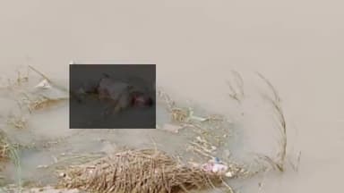 विभूतिपुर: विभूतिपुर के सलखन्नी घाट पर स्नान के दौरान लापता हुए भाई-बहन का शव महथी और फफौत नरहन पुल के पास से बरामद