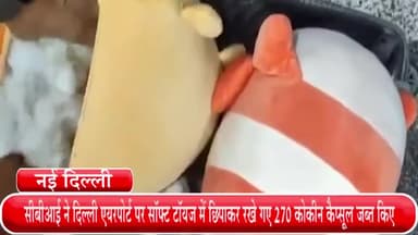 हौज खास: सीबीआई ने दिल्ली एयरपोर्ट पर सॉफ्ट टॉयज में छिपाकर रखे गए 270 कोकीन कैप्सूल जब्त किए