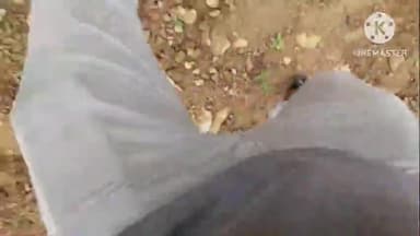 नैनवां: कल्याणी खेड़ा गांव के मुख्य मार्ग पर आबादी के लिए आरक्षित भूमि से जेसीबी से अतिक्रमण हटाया