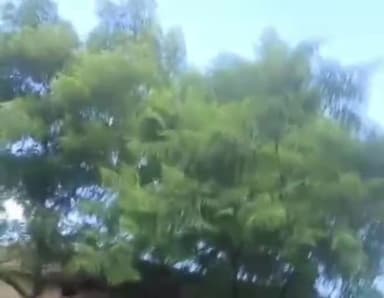 सुल्तानपुर: पुरानी रंजिश में चन्दापुर में चली लाठियां,वीडियो हुआ वायरल,पुलिस ने दोनों पक्ष का किया केस दर्ज