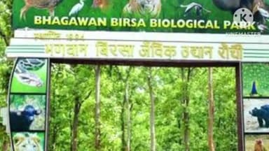 ओरमांझी: जैविक उद्यान की शान मादा तेंदुआ रानी की हुई मौत