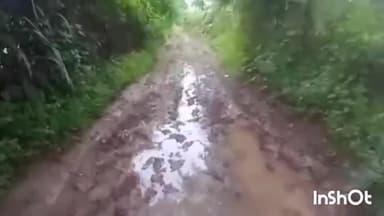 त्योंदा: हैदरगढ़ की ग्राम पंचायत पचपेरिया के ग्राम पड़रिया जागीर मे रोड पर कीचड़ को लेकर परेशान हो रहे हैं