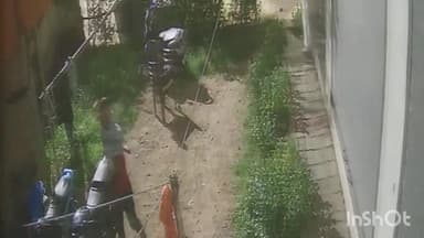 हिलसा: सुर्य मंदिर तालाब पर घर के बाहर खड़ी बाइक की हुई चोरी, सीसीटीवी में करतूत कैद