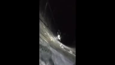 हमीरपुर: नदेहरा में कुएं में गिरा बछड़ा, फायर ब्रिगेड की मदद से बछड़े को निकाला गया बाहर