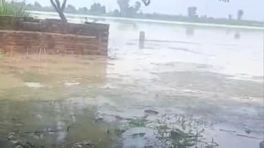 फतेहपुर: डोलेपुर गांव की नहर की खांदी कटने से सैकड़ो बीघा फसल बर्बाद, किसानों का हाल बेहाल, हुसैनगंज के डोलेपुर गांव का मामला