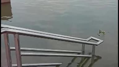 बक्सर: बक्सर में 4 सेमी प्रति घंटे के रफ्तार से बढ़ रहा गंगा नदी का जलस्तर, दियारा क्षेत्र के लोगों की बढ़ी चिंता