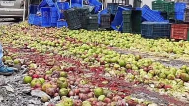 आनी: औट-बंजार हाईवे पर धामण पुल के पास फलों से लदी गाड़ी पलटी, दो घायल