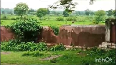 शाहनगर: शासकीय प्राथमिक शालाआमा में नही है सुविधाएं ,जर्जर बिल्डिंग में लगती क्लसे् प्राभावित रहि नई शिक्षा नीति के लक्ष्य