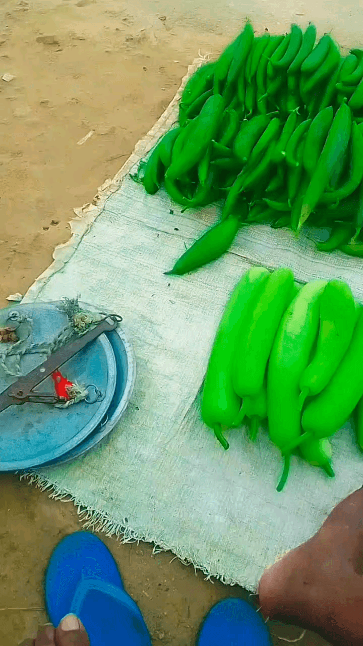 singramau #bajar#tre#reels@
