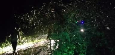 कोलेबिरा: जामटोली में एनएच143 पर गिरा विशाल पेड़, लगा जाम, पुलिस ने 06 घंटे मशकत कर खुलवाया जाम