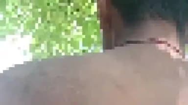 बारा: पचखरा गांव में गंदगी ना उठाने पर दबंग ने दिव्यांग युवक को जाति सूचक गालियां देकर पीटा, पुलिस से की गई मामले की शिकायत