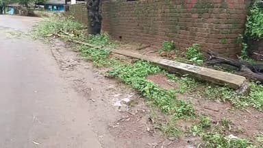 कोंडागांव-शुक्रवार  देर रात हुई बारिश से मुलमुला के कलीपारा में गिरा विद्युत पोल गिरा विद्युत आपूर्ति हुई ठप।