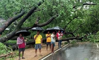 ठेठईटांगर: पंडरीपानी के पास NH 143 पर गिरा विशाल पेड़, बाल बाल बचा माल वाहक ट्रक