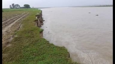 मुरलीगंज: मुरलीगंज में हो रहे लगातार बारिश से सुरसर नदी उफान पर नदी तट पर बसे लोगों को डराने लगा है बाढ़ का खतरा