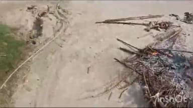 नावकोठी: विष्णुपुर में बिजली विभाग के लचर व्यवस्था और लापरवाही के खिलाफ सड़क पर उतरे लोग, किया विरोध प्रदर्शन