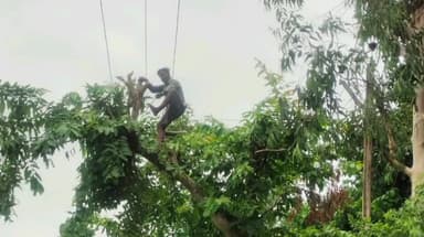 जलालगढ़: 5 और 6 अगस्त को सुबह 9 बजे से दोपहर 2:00 बजे दिन तक बिजली आपूर्ति बाधित रहेगी- विद्युत कार्यपालक अभियंता धीरज कुमार