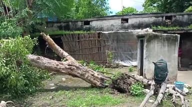 बारा: बादलगंज गांव के पुरानी सड़क पर तेज हवा के दौरान अचानक घर पर गिरा पेड़,बाल- बाल बचे लोग
