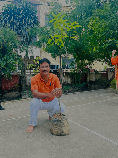 अखिल भारतीय कायस्थ महासभा ट्रस्ट के तत्वाधान में वन महा उत्सव के अंतर्गत दीनदयाल नगर स्थित एकता पार्क में वृक्षारोपण का कार्य किया गया!