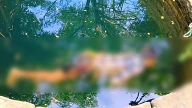 अकलतरा: पकरिया झूलन गांव में युवक की कुएं में मिली लाश, किया गया पोस्टमार्टम, मृतक युवक मिर्गी के बीमारी से था पीड़ित